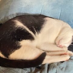 松之助君、帰ってこーい！